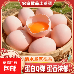 京喜加 新鲜土鸡蛋 谷物喂养 400g 10枚