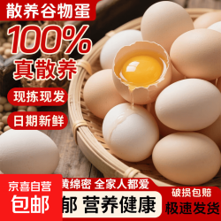 山林新鲜鸡蛋当日现捡鲜鸡蛋生鲜京东超市单枚40g左右 当日现捡新鲜土鸡蛋8枚