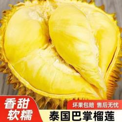 京喜 金枕榴莲整果发货鲜果3房肉进口水果孕妇可吃 净重1.5-2斤包三房