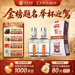 迎驾贡酒 银星 浓香型 白酒 42度 520ml*2瓶 双瓶装