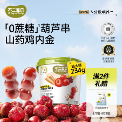 不二宝贝 牛脾肽鸡内金山楂葫芦串234g棒棒糖搭无添加婴儿幼儿童宝宝零食 山楂葫芦串