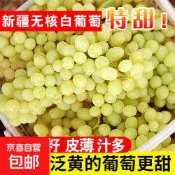 京喜自营-专用品牌 新疆无核白葡萄新鲜水果马奶提无籽青提 净重4.5斤