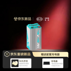 比亚迪 电动车锂电池