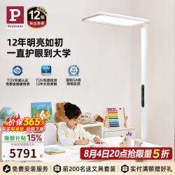 Paulmann 骑士I RF00422757TDWHAG 立式护眼灯 紫光全光谱