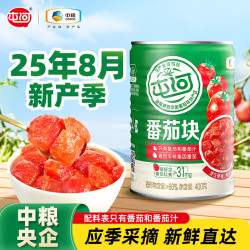 屯河 新疆内蒙番茄罐头新鲜番茄丁0添加剂西红柿块火锅炒菜调味番茄块 番茄块400g*2罐