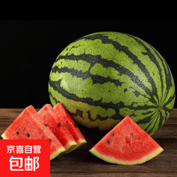 麒麟 一级果正宗美都麒麟西瓜安徽砀山精品爆汁8424麒麟西瓜 净重4-5斤一个装