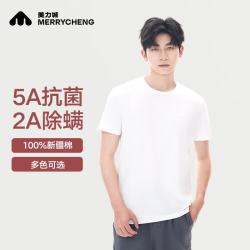 美力城 T恤男女春夏款短袖速干凉感宽松高端双面液氨纯色上衣