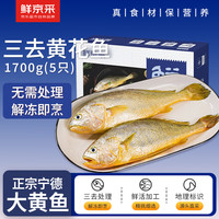 鲜京采 方便美味、配料干净！三去宁德大黄鱼/黄花鱼(5条) 去冰净重3.4斤 礼盒装