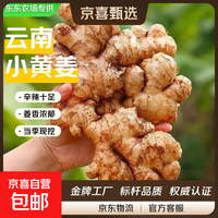 云南新鲜小黄姜 带箱1斤