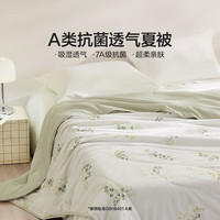 LOVO A类抗菌可机洗夏被-叶影 200*230cm