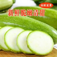 京喜 长西葫芦 高原夏菜 2斤 带箱