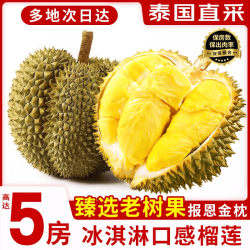 迎畔 泰国金枕榴莲鲜果 新鲜巴掌榴莲金枕头一整个时令水果 净重3-4斤单果丨 包4房丨报恩榴莲