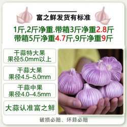 思鲜园 山东金乡大蒜 5斤 精选特大果