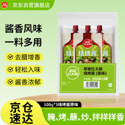草原红太阳 烧烤酱 原味烤肉酱烧烤料100g*3袋淄博烧烤体验地合作烧烤料