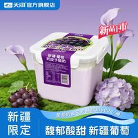 天润 葡萄奶皮子酸奶 800g 1桶