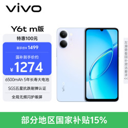 vivo Y6t m版 6GB+256GB 霞光蓝 6500mAh 5年长寿大电池 SGS五星抗跌耐摔认证 IP65防尘抗水 AI手机