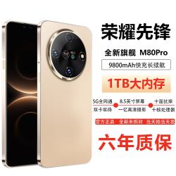 荣耀 先锋新品1024G大内存9800mAh快充大电池5