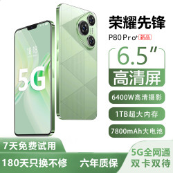 荣耀 先锋新品1024G大内存7800mAh快充大电池5G骁龙888防水防摔拍照手机 香颂绿 16GB运行+128内存 官方标配