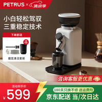 柏翠 磨豆机研磨机家用小型电动现磨意式美式意式粉碎机防飞粉40档研磨 PE3788 节日礼物 PE3788E