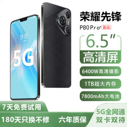 荣耀 先锋新品1024G大内存7800mAh快充大电池5G骁龙888防水防摔拍照手机 羽纱黑 16GB运行+256内存 官方标配