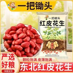 一把锄头 东北四粒红花生米 2斤 大粒原味 新鲜农家批发