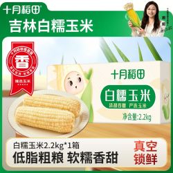 十月稻田 白糯玉米160g/10根1.6kg东北玉米软糯香甜低脂新鲜真空装