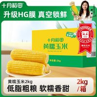 百亿补贴：十月稻田 黄糯玉米 2kg 低脂粗粮早餐真空东北