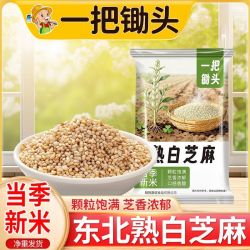 一把锄头 新熟白芝麻 300g 香脆炒熟