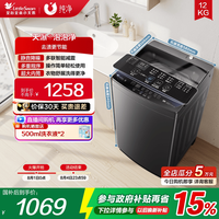 小天鹅 TB12-1809DT 变频波轮洗衣机 12kg