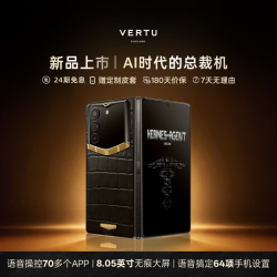 VERTU 威图纬图镶金2玄铁黑鳄鱼皮 16GB+1TB 官方标配（赠皮套+管家服务）