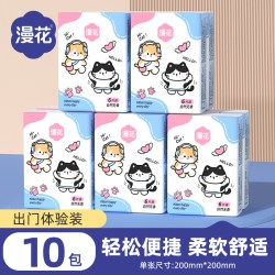 漫花 LYSPZ 3层手帕纸 小包式 10包 实惠装