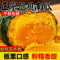 春福乐 贝贝南瓜板栗味贝贝南瓜辅食陕西当季新鲜蔬菜现发 5斤果农优选果净 4斤