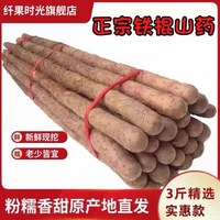 纤果时光 河南焦作铁棍山药 3斤