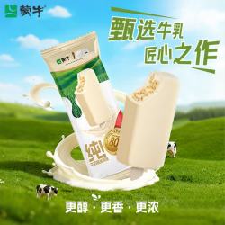 蒙牛 纯牛奶味冰淇淋 65g×5支