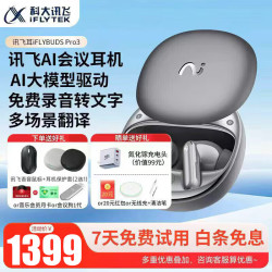 科大讯飞 iFLYBUDS Pro3 录音转文字 星辰灰 智能降噪耳机