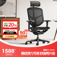 Ergonor 久坐不易累 人体工学椅  黑色网+躺舒宝