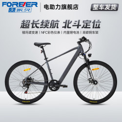 永久 F58 摩天灰 26英寸 油碟 助力电动自行车
