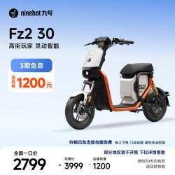 九号 Fz2 30 电动自行车