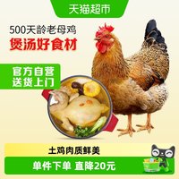 移动端、88VIP：温氏 供港老母鸡 1.2kg