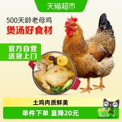 温氏 供港老母鸡 1.2kg