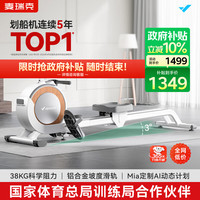 麦瑞克 Q1 磁阻划船机 MRSRM53163 白色 金属 专业款