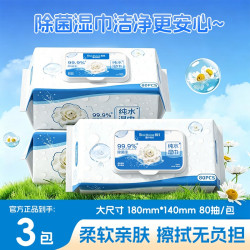 蜀中秀坊 抑菌湿巾 80片*1包