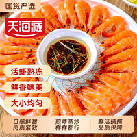 天海藏 3150只天海藏盐田香虾1350g