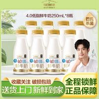 百亿补贴：每日鲜语 鲜牛奶低脂鲜奶4.0蛋白低脂250ml*8瓶巴氏杀菌低温奶