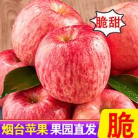 甜醉了 红富士苹果 净重4.5斤75-80mm