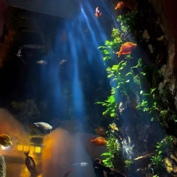 2大2小北京海洋馆+动物园门票+速8酒店1晚