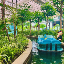 南宫五洲植物乐园-门票+10项游乐票