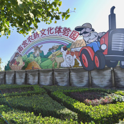 南宫农耕文化体验园-门票+30元时令蔬菜采摘代金券