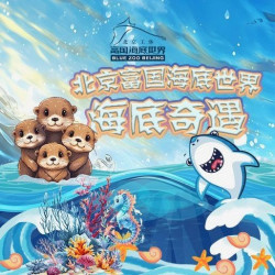 富国海底世界-门票+人鲨共舞+黄金风暴+美人鱼表演+海狮表演
