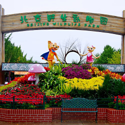 周末不加价｜2大野生动物园票+3钻酒店+双早+接送